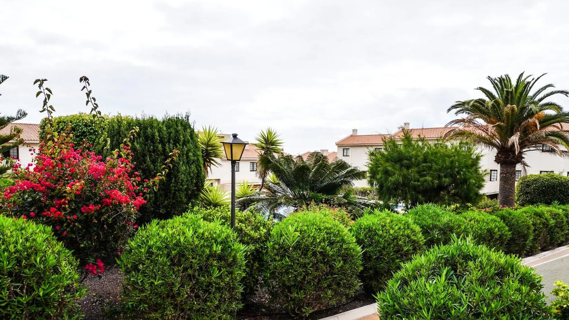 Bright House With Working Space El Medano  Spain