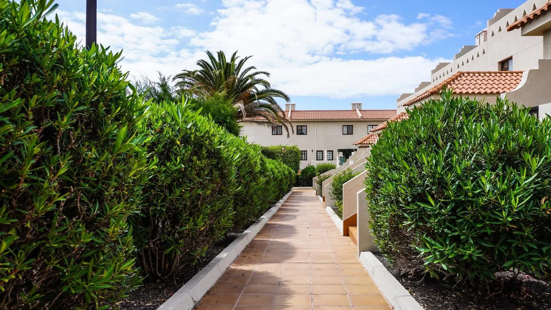 Bright House With Working Space El Medano  Apartment El Medano (Tenerife)