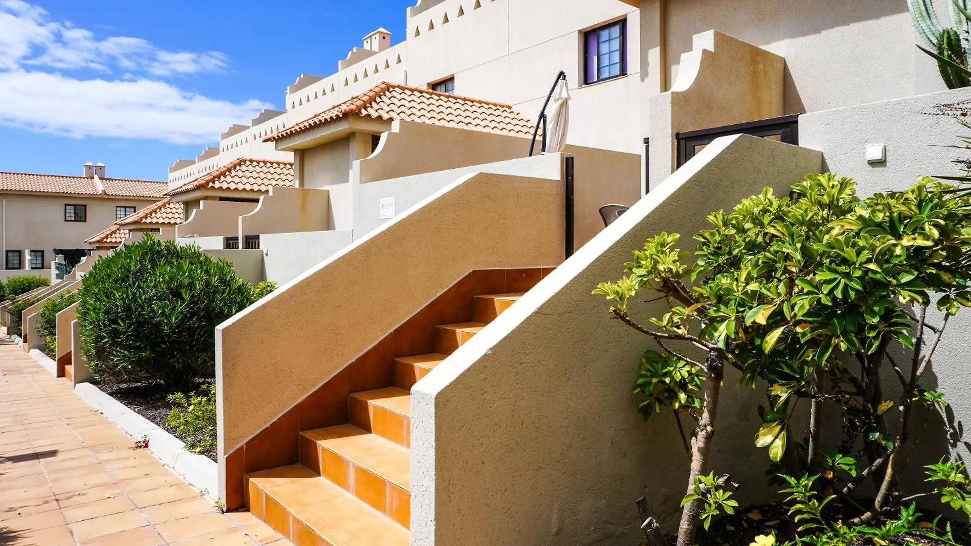 Bright House With Working Space El Medano  El Medano (Tenerife)