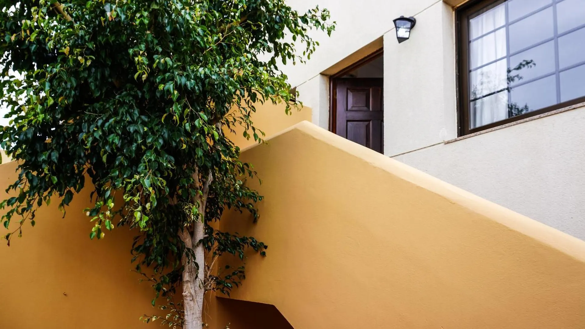 Apartment Bright House With Working Space El Medano  Spain