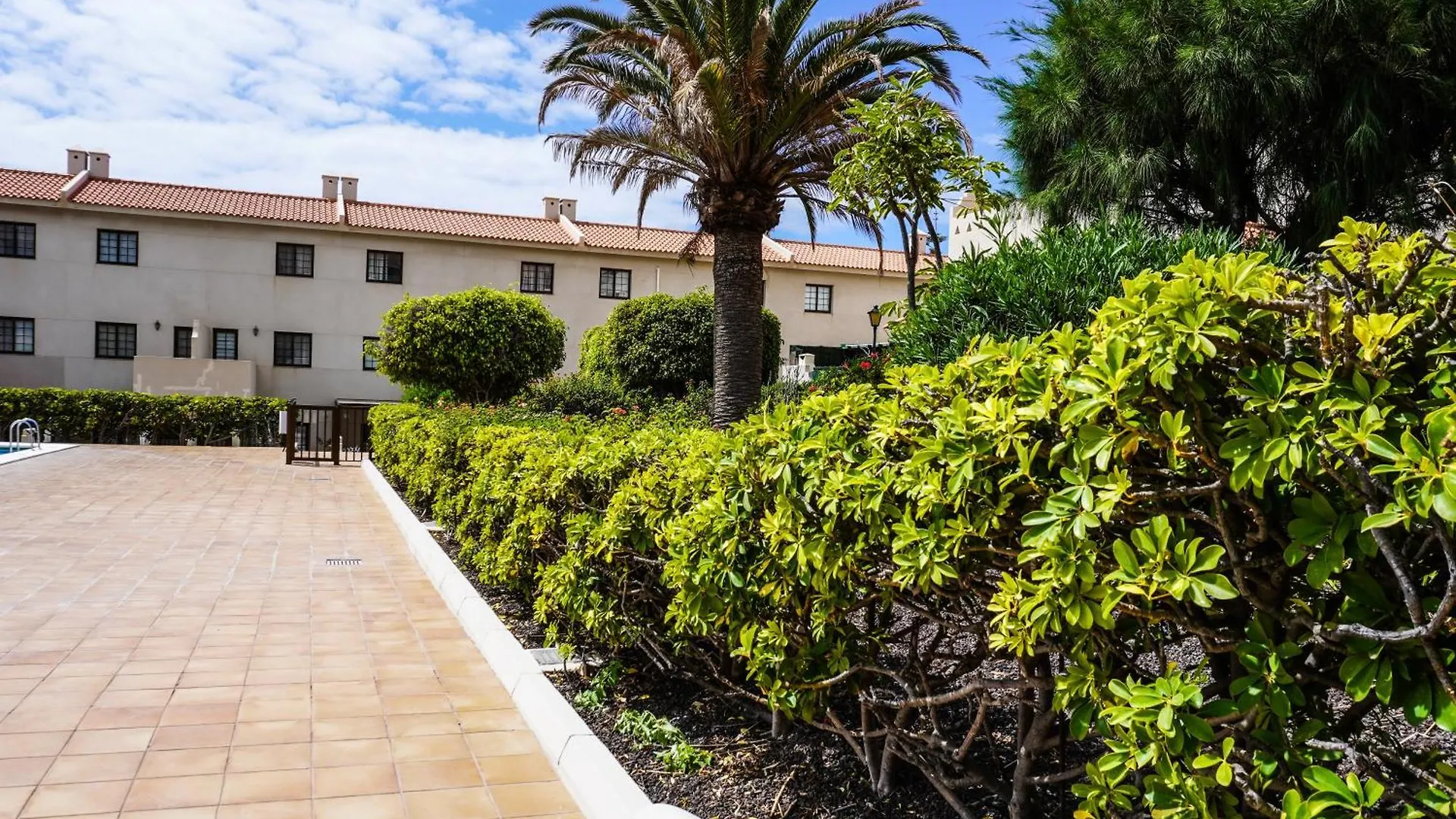 Bright House With Working Space El Medano  Spain